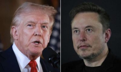 trump musk 620x350.jpg