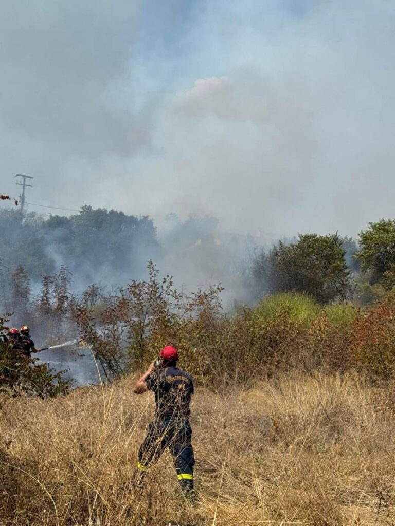 Ευχαριστήριο του Δήμου Δίου – Ολύμπου σε όσους βοήθησαν στην κατάσβεση πυρκαγιών