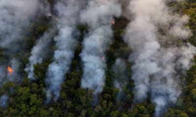 2024 09 16T015042Z 228487309 RC251AAJLPZY RTRMADP 5 BRAZIL WILDFIRES 620x350.jpg