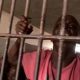 Over 60 Indicted in DR Congo Prison Escape Attempt News Central TV 768x436 620x350.jpg