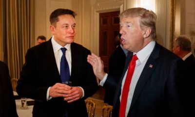 TRUMP MUSK 1 620x350.jpg