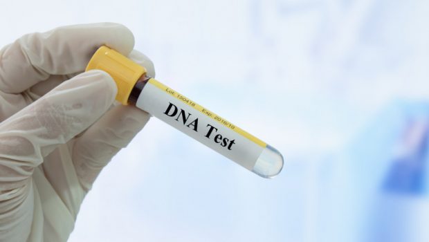 dna test 620x350.jpg