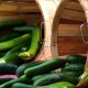 farmers market cucumbers 3858540 1280 620x350.jpg