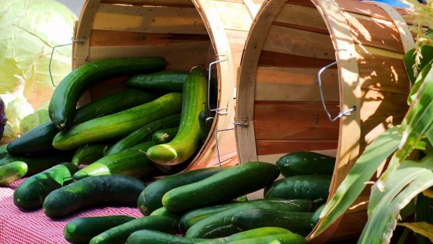 farmers market cucumbers 3858540 1280 620x350.jpg