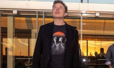 musk 430x350.jpg