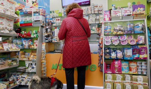 pet shop dog client supermarket retail grocery store 1591477 pxhere.com 620x350.jpg