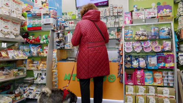 pet shop dog client supermarket retail grocery store 1591477 pxhere.com 620x350.jpg