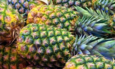 pineapple 3413953 1280 620x350.jpg