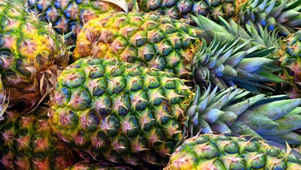 pineapple 3413953 1280 620x350.jpg