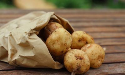 potatoes 888585 1920 620x350.jpg