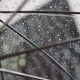 rain 2590618 1920 620x350.jpg