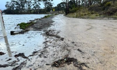 tasmania1 1 620x350.jpg