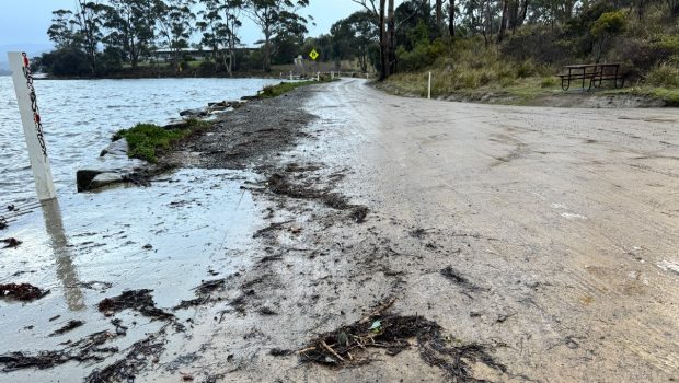 tasmania1 1 620x350.jpg