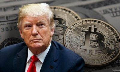 trump crypto 620x350.jpg