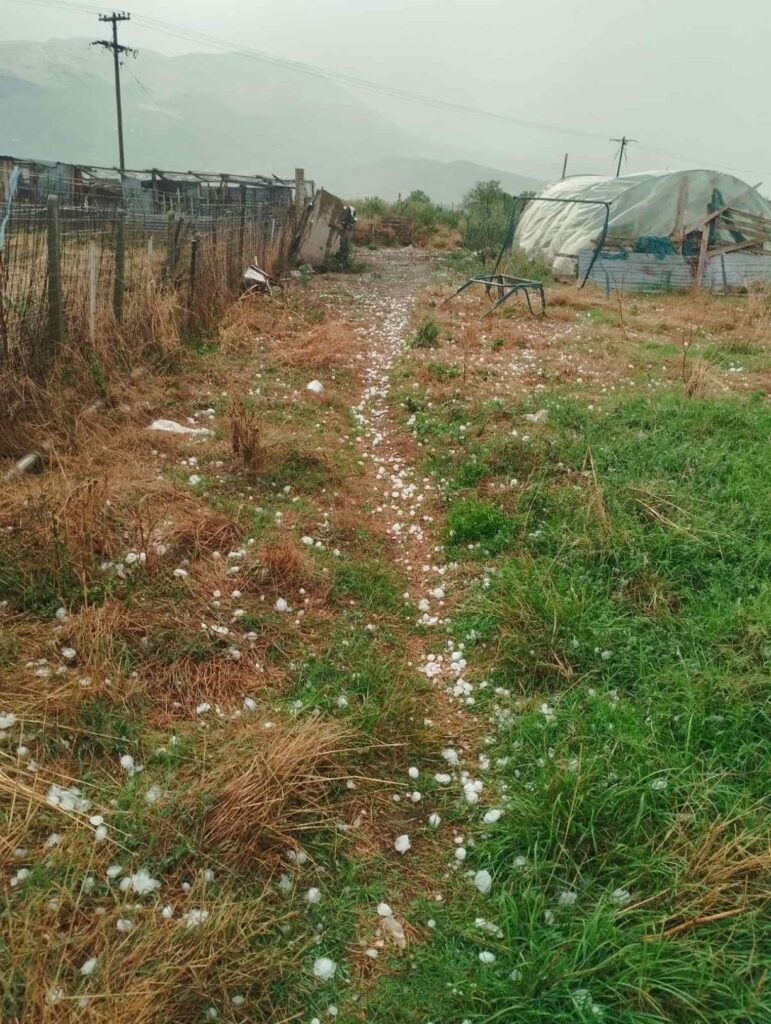 Ισχυρή χαλαζόπτωση κατέστρεψε καλλιέργειες σε χωριά της Ελασσόνας