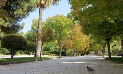 Kifissia Park 620x350.jpg