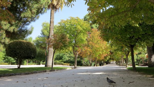 Kifissia Park 620x350.jpg