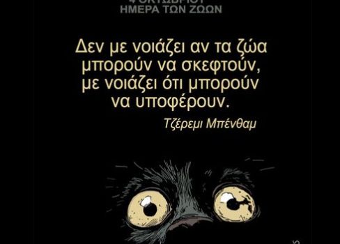 arkas 2 488x350.jpg