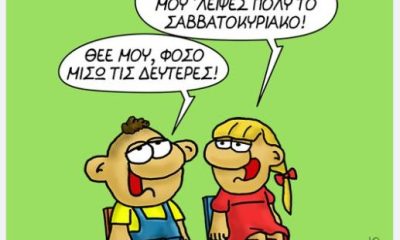 arkas1 2 517x350.jpg