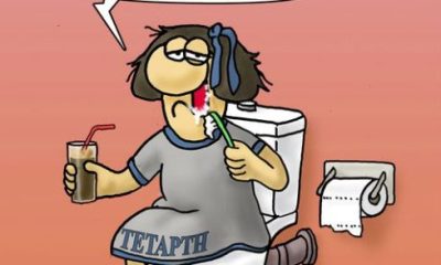 arkas1 489x350.jpg