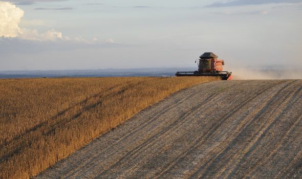 harvest g117e034b1 1280 620x350.jpg