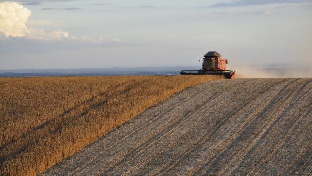 harvest g117e034b1 1280 620x350.jpg