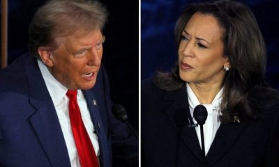 kamala trump 620x350.jpg