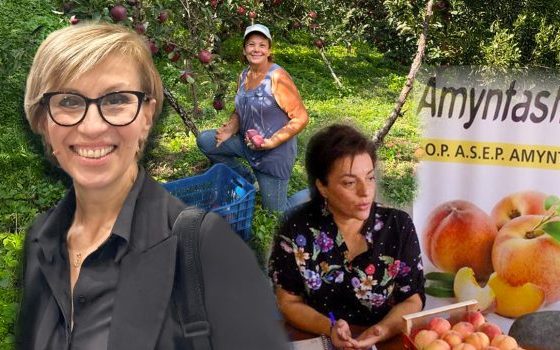 ot agrotisses 620x350.jpg