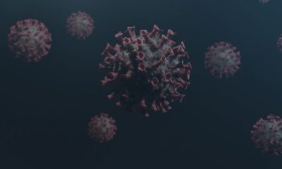 virus 6170925 1280 620x350.jpg